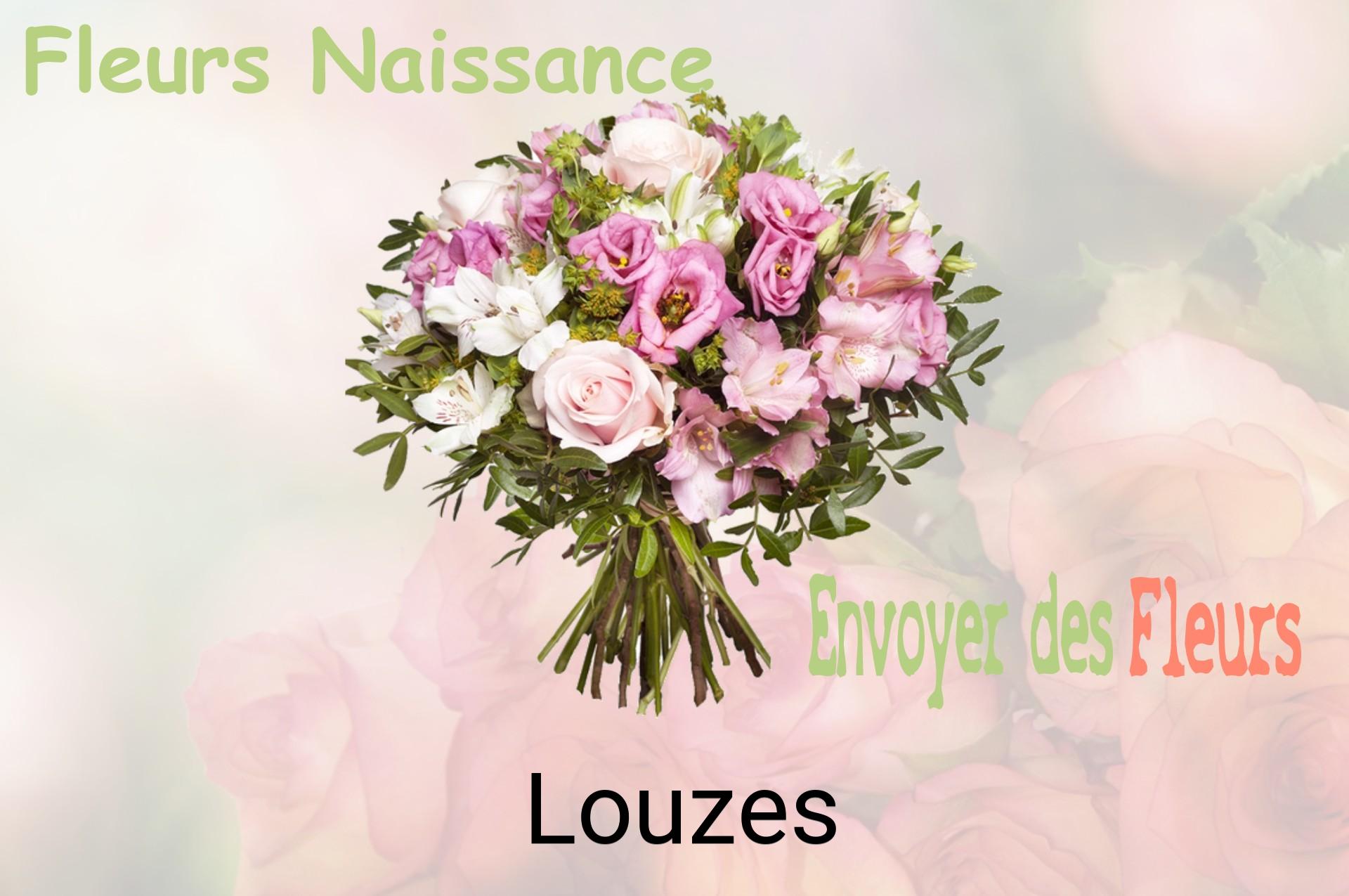 Bouquet de fleurs de naissance livré à Louzes