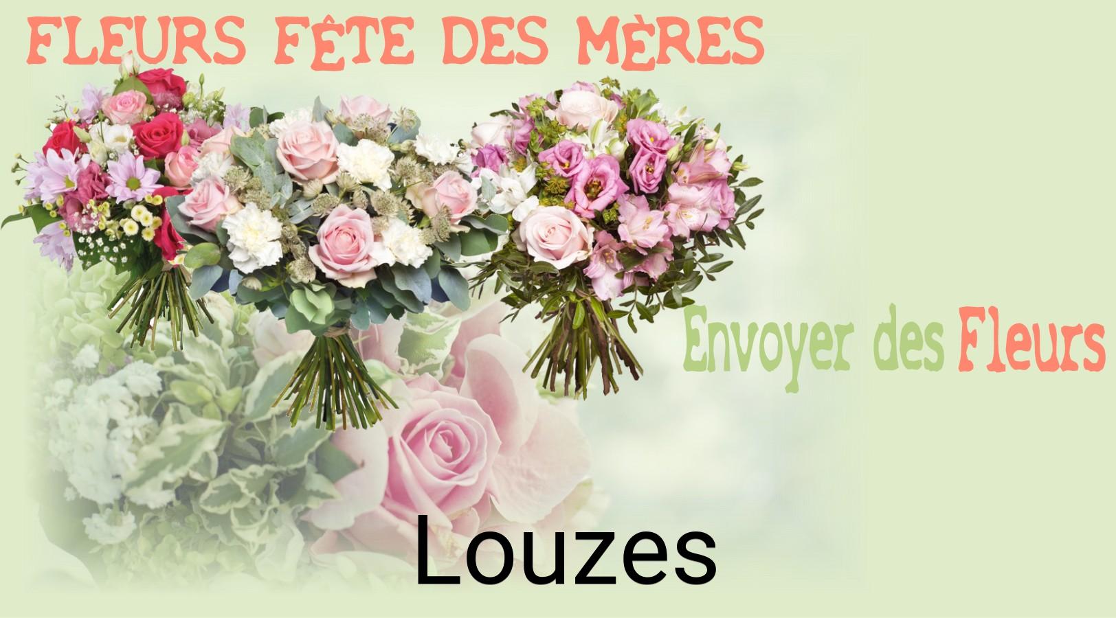 Bouquet de Fête des Mères livré à Louzes